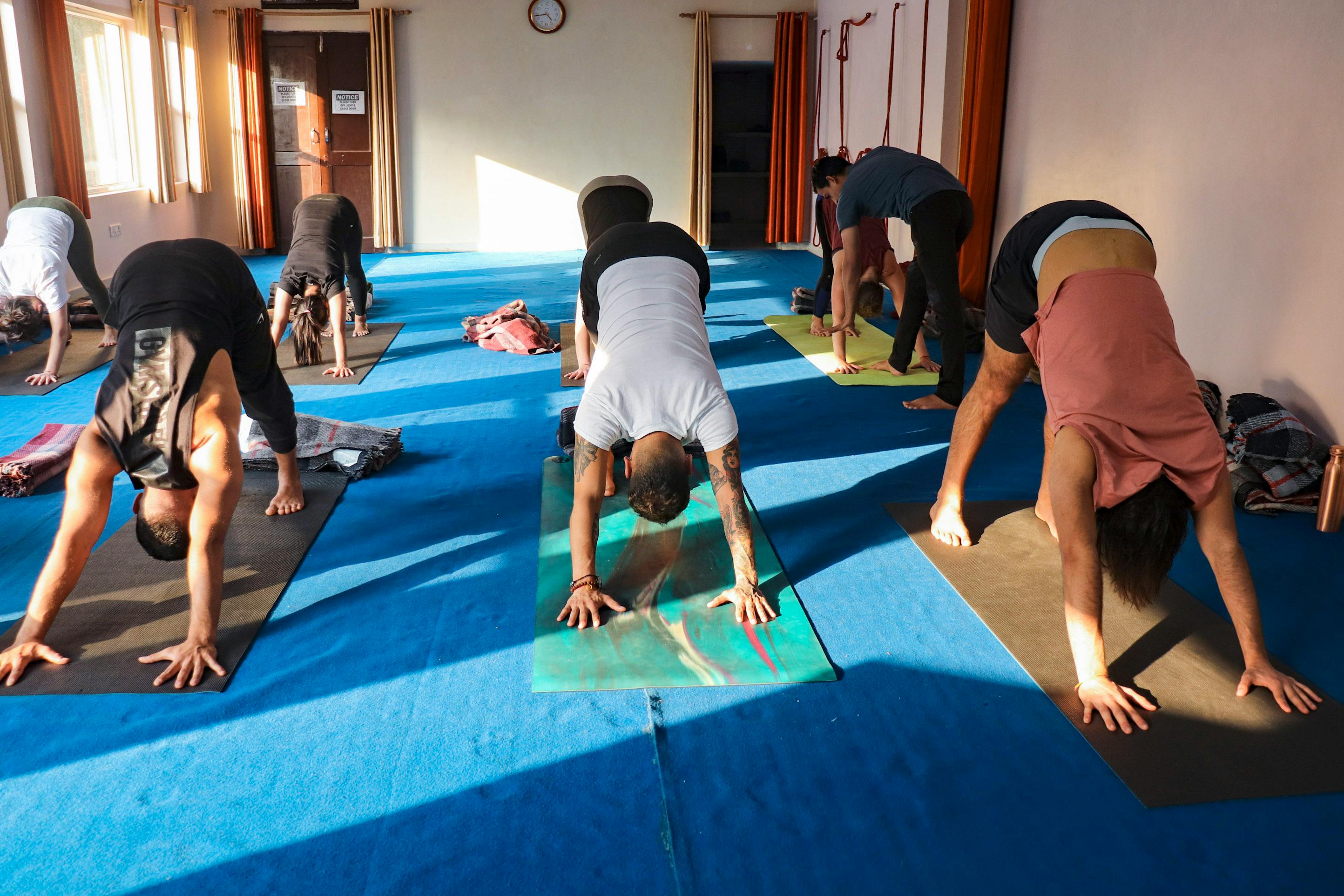 Yoga Detox Retreat in India with 5 Elements